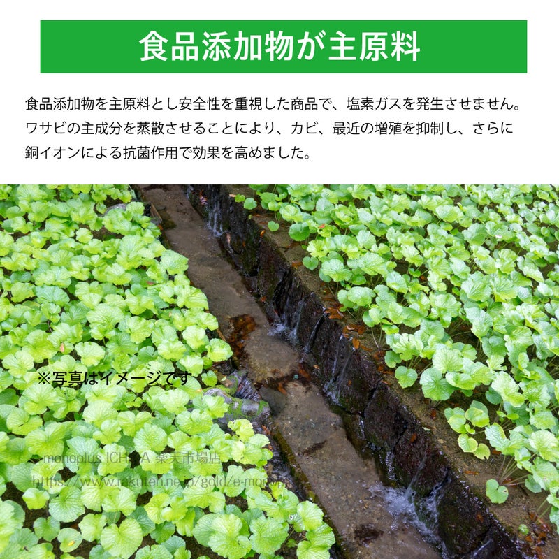 ワサビと銅イオンでヌメリ 黒ずみ 悪臭の発生を抑える