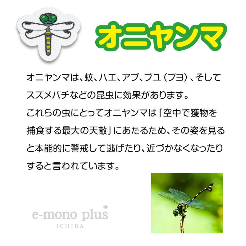 オニヤンマ虫コマシール