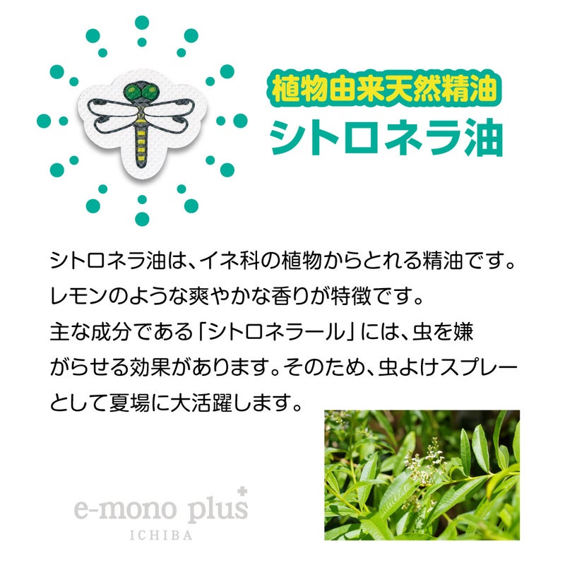 オニヤンマ虫コマシール